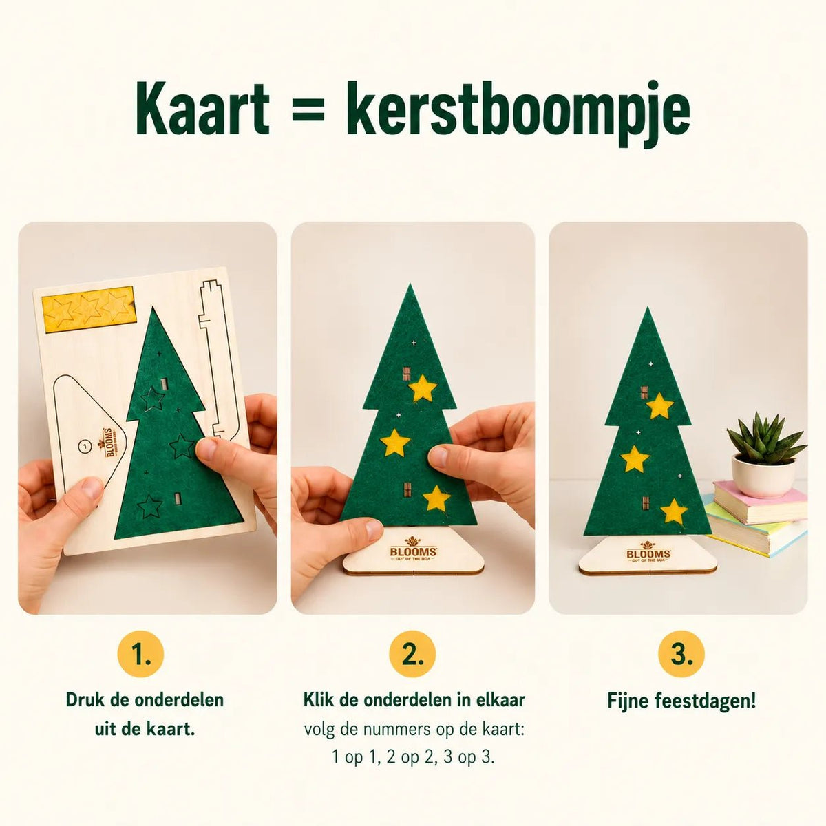 Kerstpost - One (8 stk) - duurzaam bloem- & plantcadeau | Blooms out of the Box