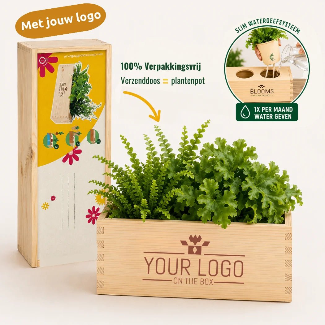 Nature out of the Box - L (vanaf 10) - Blooms out of the Box