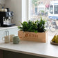 Nature out of the Box - L (vanaf 10) - duurzaam bloem- & plantcadeau | Blooms out of the Box