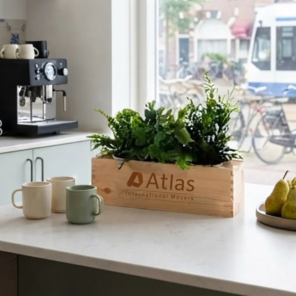 Nature out of the Box - L (vanaf 10) - duurzaam bloem- & plantcadeau | Blooms out of the Box