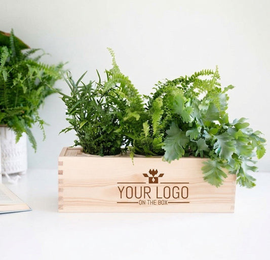 Nature out of the Box - L (vanaf 10) - duurzaam bloem- & plantcadeau | Blooms out of the Box