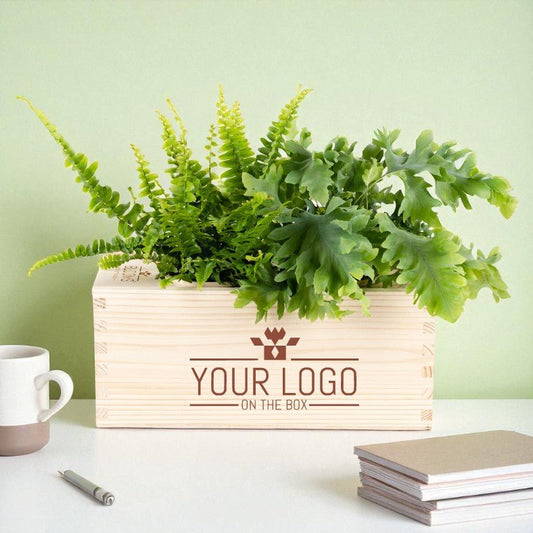 Nature out of the Box - M (vanaf 10) - duurzaam bloem- & plantcadeau | Blooms out of the Box