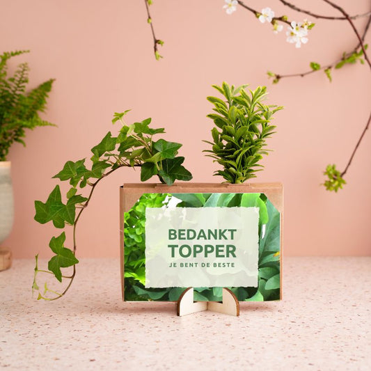 Nature out of the Box - Mini (vanaf 10) - Blooms out of the Box
