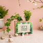 Nature out of the Box - Mini - duurzaam bloem- & plantcadeau | Blooms out of the Box