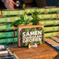 Nature out of the Box - Mini - duurzaam bloem- & plantcadeau | Blooms out of the Box