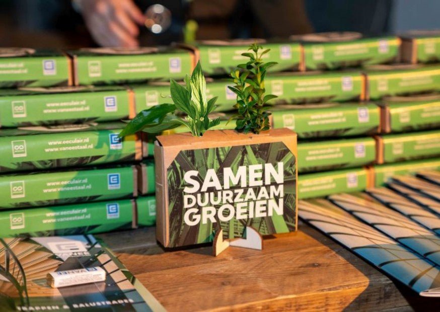 Nature out of the Box - Mini - duurzaam bloem- & plantcadeau | Blooms out of the Box