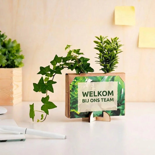 Houten kist met luchtzuiverende planten als duurzaam cadeau, uitvoering Welkom bij ons Team, Nature out of the Box Mini