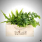 BloomsBox 'Gefeliciteerd' - M – Clean Showcase