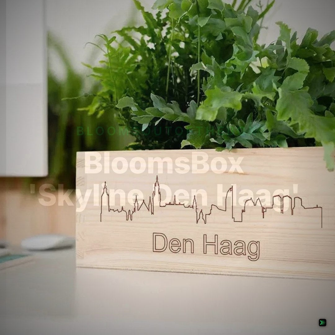 BloomsBox 'Skyline Den Haag' - M – Clean Showcase