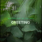 GREETING – Clean Showcase