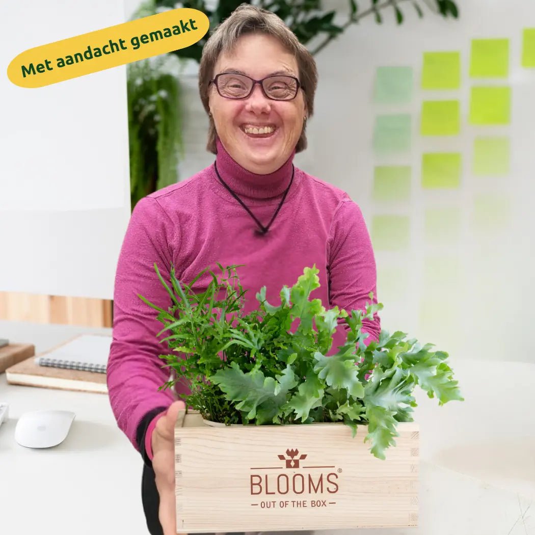 Xmas 'Forest fresh' - L (vanaf 10) - duurzaam bloem- & plantcadeau | Blooms out of the Box