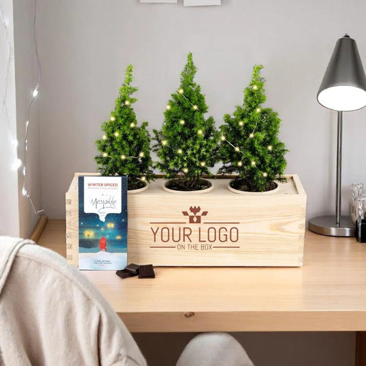 Xmas 'Guilty pleasure' - L (vanaf 10) - duurzaam bloem- & plantcadeau | Blooms out of the Box