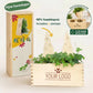 XMas out of the Box - M (vanaf 10) - duurzaam bloem- & plantcadeau | Blooms out of the Box
