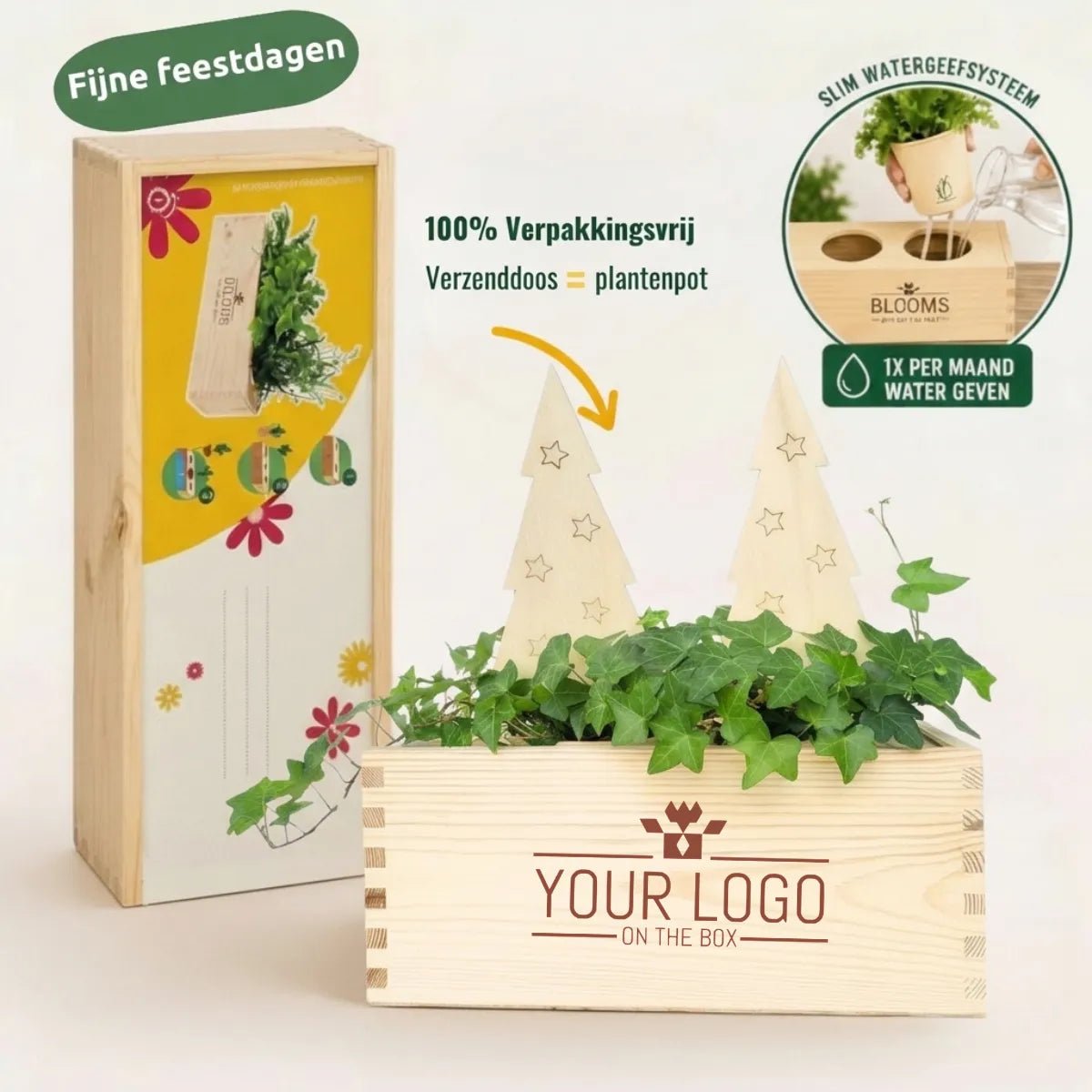 XMas out of the Box - M (vanaf 10) - duurzaam bloem- & plantcadeau | Blooms out of the Box