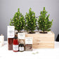 Xmas XL 'Culinary inspiration' - Your logo (vanaf 10) - duurzaam bloem- & plantcadeau | Blooms out of the Box