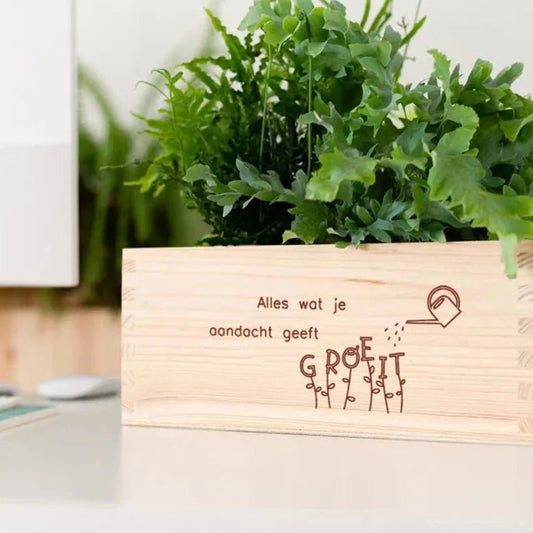 BloomsBox 'Alles wat je aandacht geeft groeit' - M - Blooms out of the Box