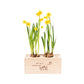 BloomsBox 'Alles wat je aandacht geeft groeit' - M - Blooms out of the Box