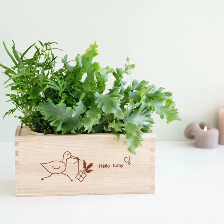 Hello baby BloomsBox planten in sfeer
