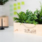BloomsBox 'Gefeliciteerd' - L - Blooms out of the Box