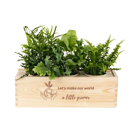 BloomsBox 'Greener planet' - L - Blooms out of the Box