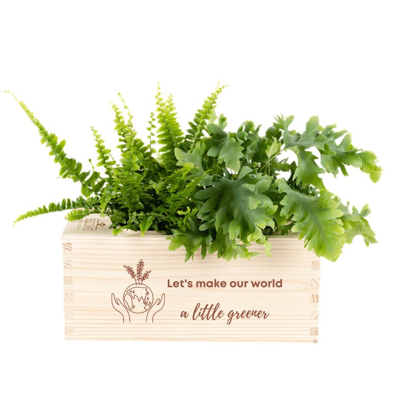 BloomsBox 'Greener planet' - M - Blooms out of the Box