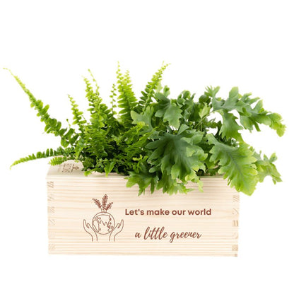 BloomsBox 'Greener planet' - M - Blooms out of the Box