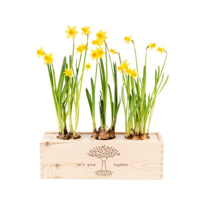 BloomsBox 'Let's grow together' - L - Blooms out of the Box