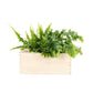 BloomsBox Strippenkaart - 10 stuks - M - Blooms out of the Box