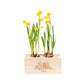 BloomsBox 'Welkom' - M - Blooms out of the Box