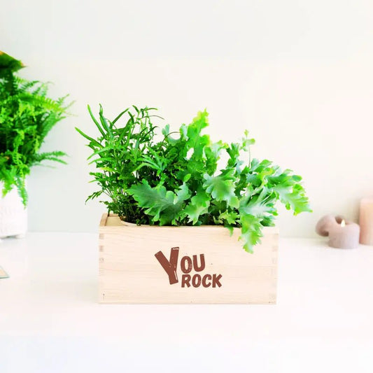 BloomsBox 'You rock' - M - Blooms out of the Box