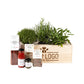 Herbs out of the Box 'Culinary inspiration' - XL - Branded - Bloomsoutofthebox