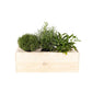 Herbs out of the Box 'Culinary inspiration' - XL - Branded - Bloomsoutofthebox