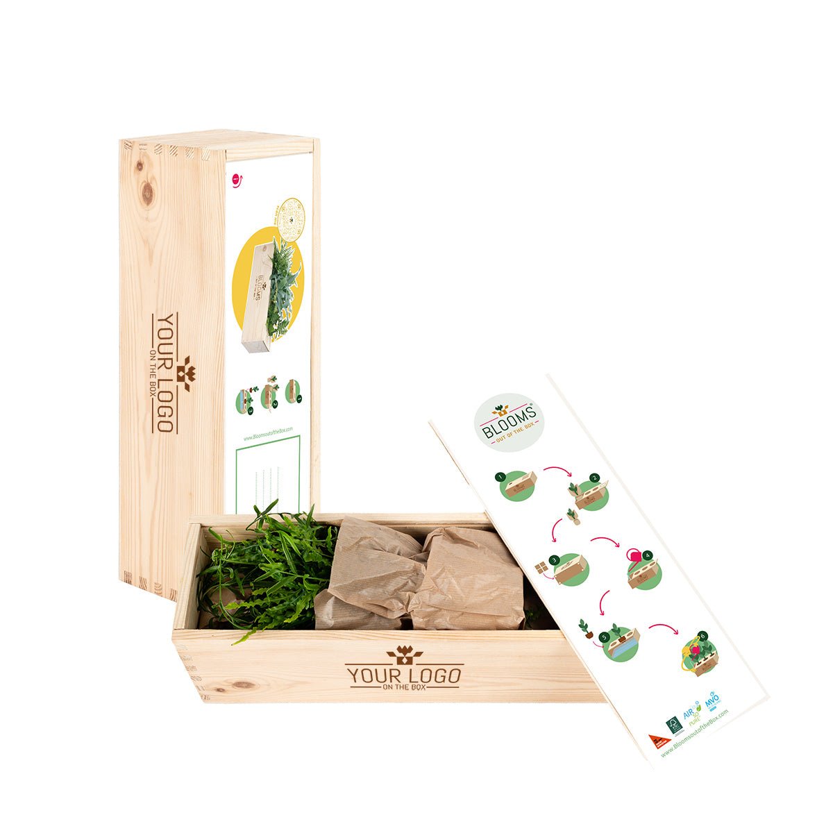 Spring out of the Box - L - Branded - Blooms out of the Box
