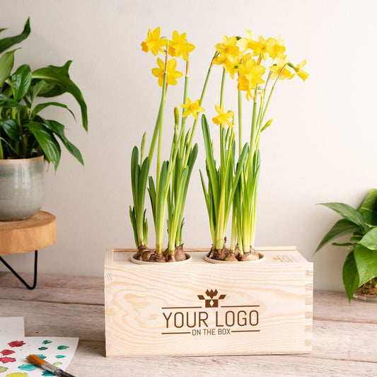 Spring out of the Box - M - Branded per stuk - Blooms out of the Box