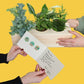 Wenskaart 'Thank you' - Blooms out of the Box