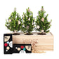 Xmas out of the Box 'Cosiness' - XL - Blooms out of the Box
