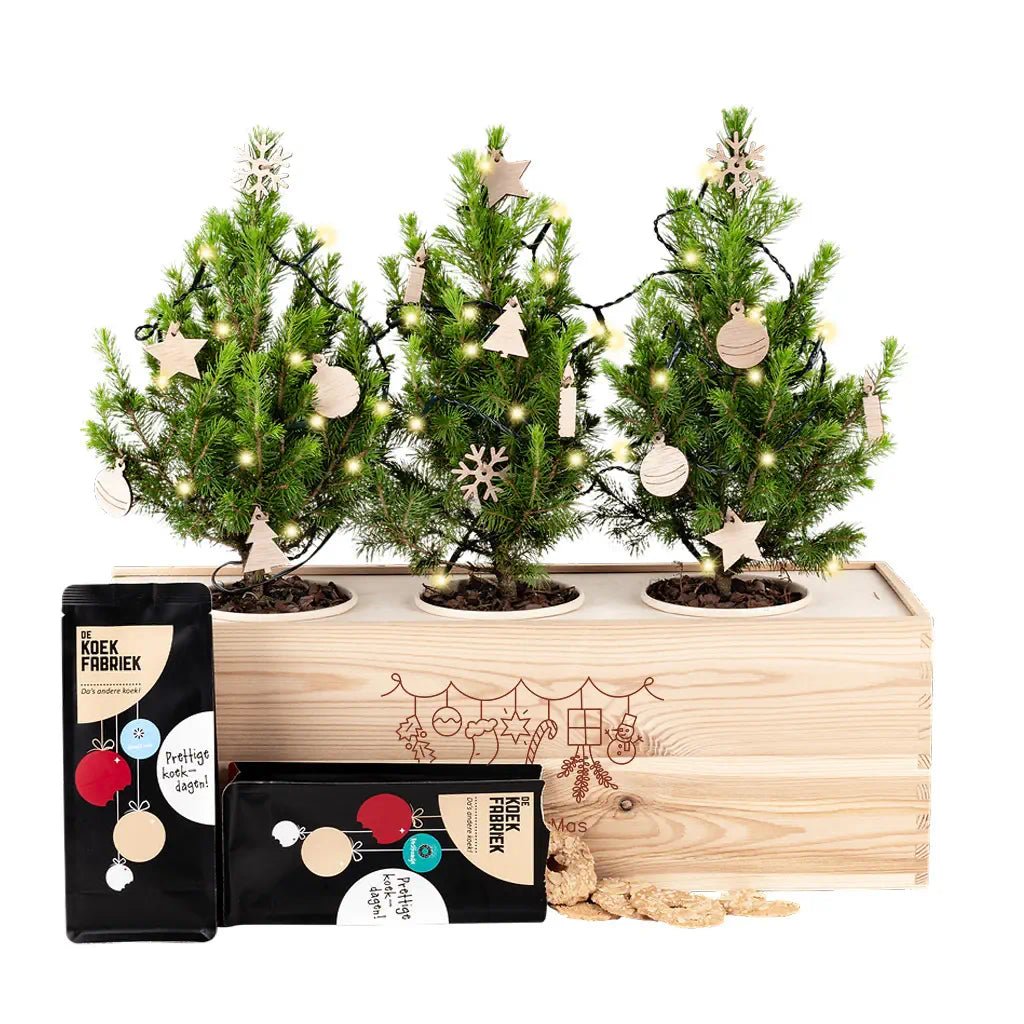 Xmas out of the Box 'Cosiness' - XL - Blooms out of the Box